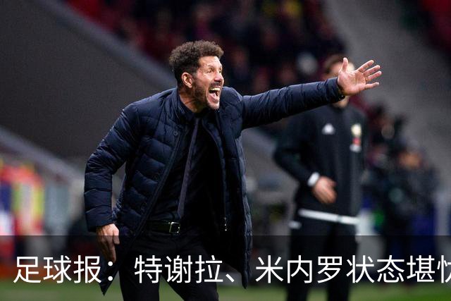足球报：特谢拉、米内罗状态堪忧，申花需抓紧拿足保级所需积分